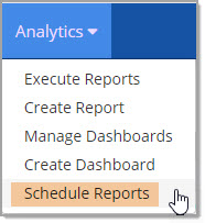 Schedule Reports Option